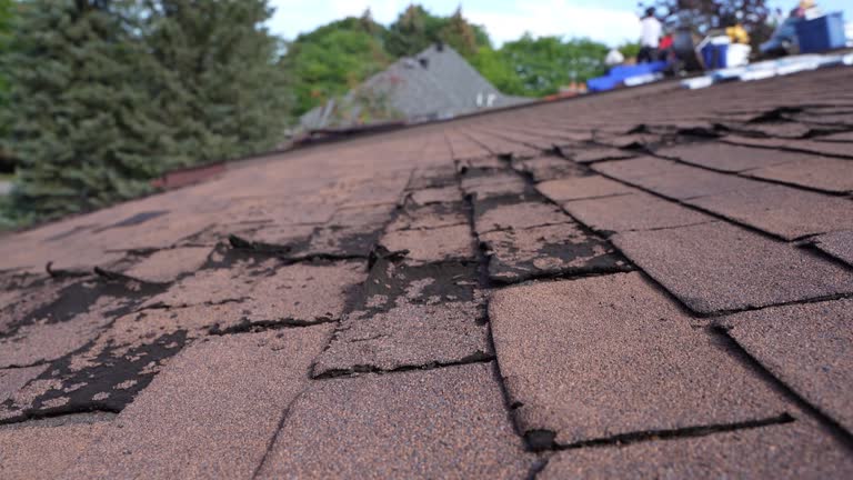 Best Gutter Replacement  in Lancaster, OH